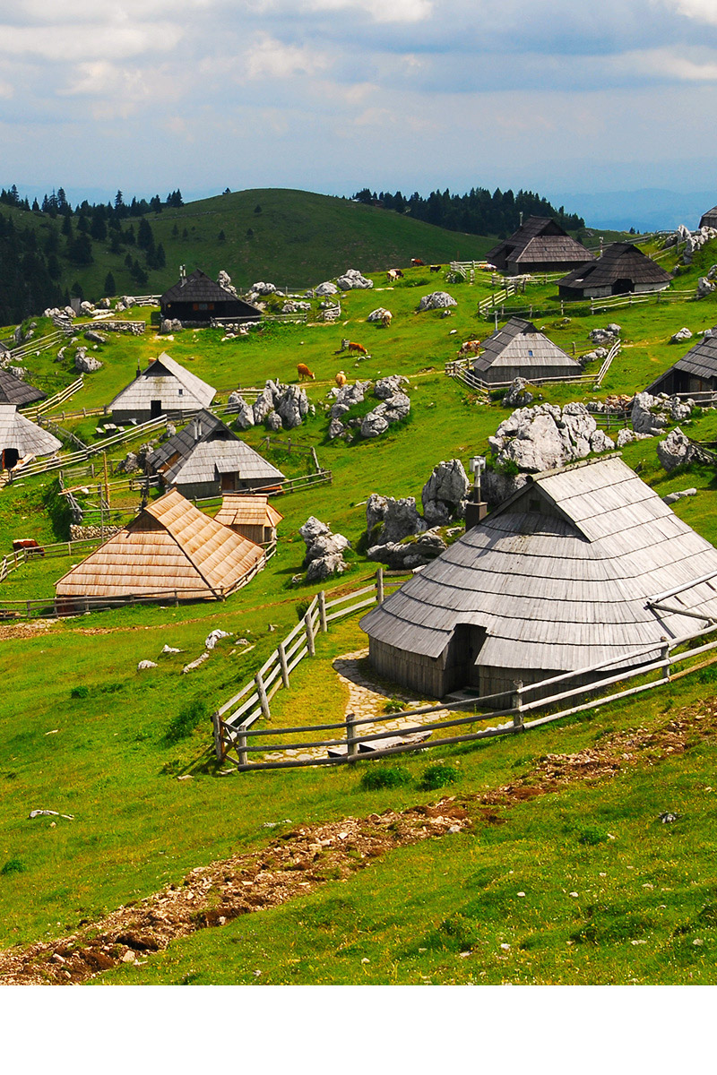 Dive into Slovenia's fascinating mountain pastures